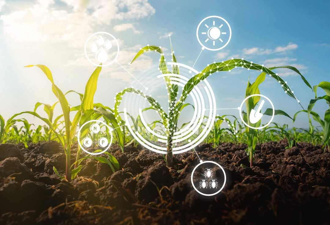ZORA Ventures and Rho Impact Partner to Advance Climate Innovation and Investment in Israel